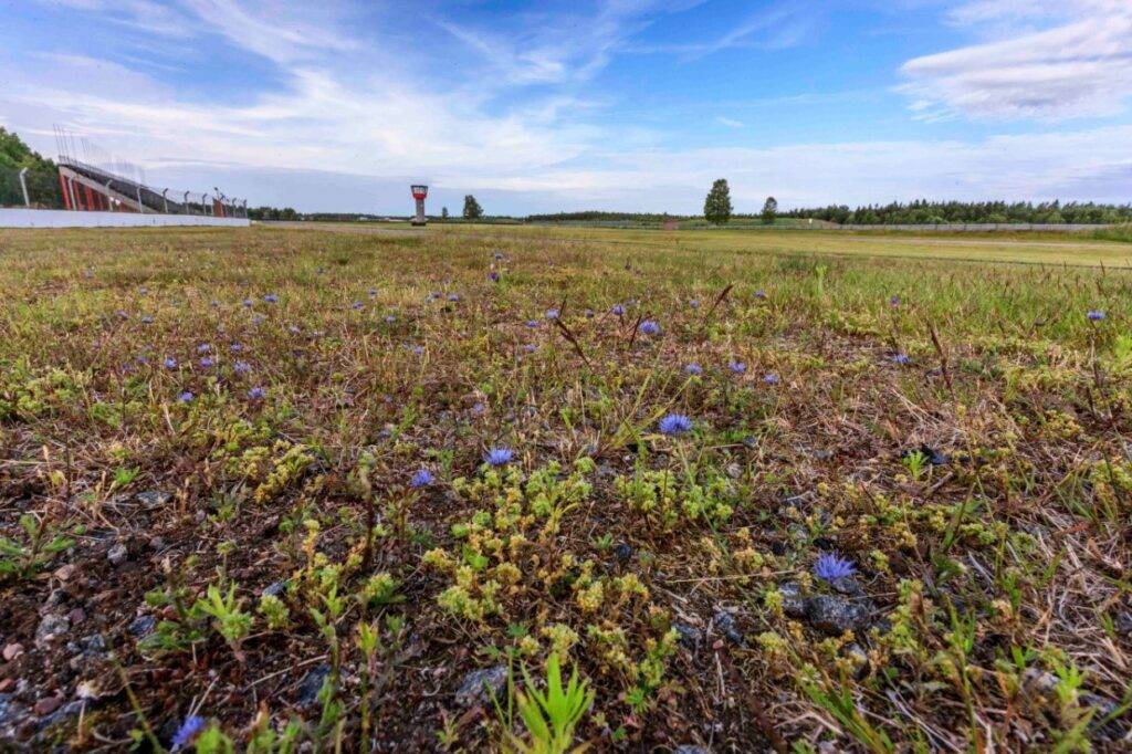 Svemo lanserar Hållbarhetsstrategi 2035