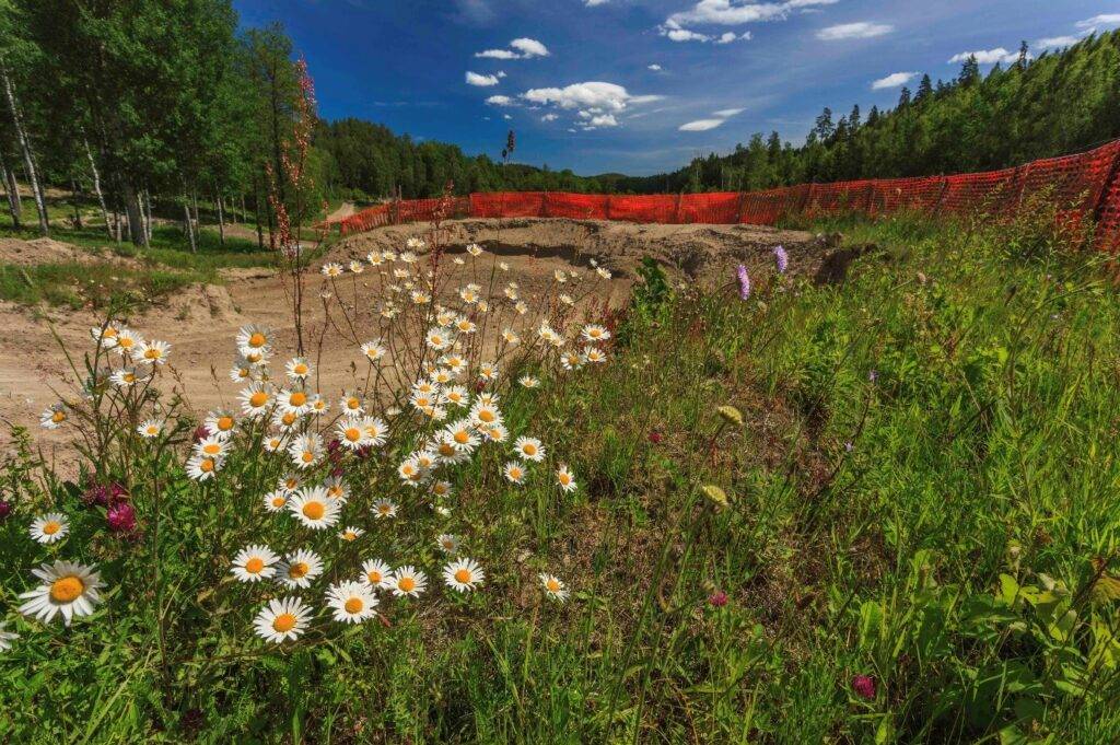 Inbjudan Miljöforum 2025