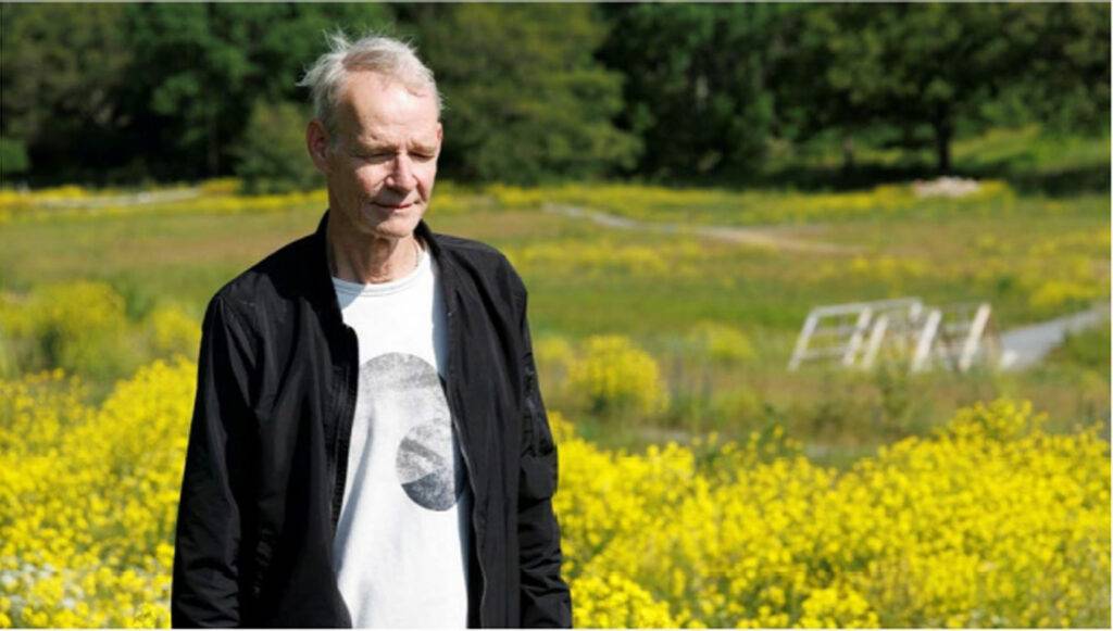 Sällsynta insekter försvann när motorbana tvingades stänga